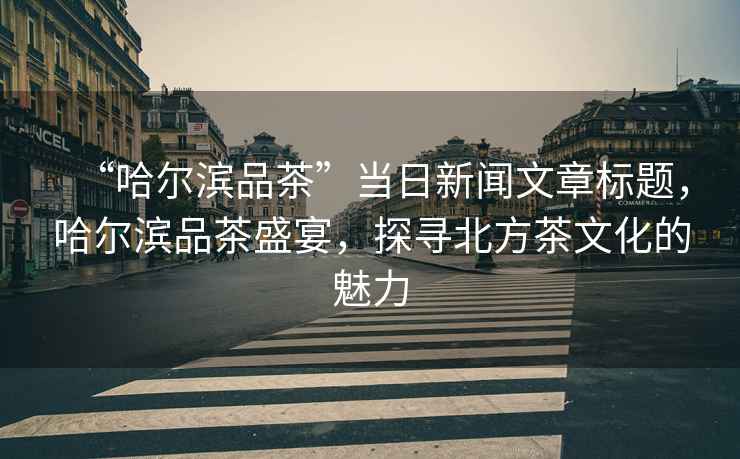 “哈爾濱品茶”當(dāng)日新聞文章標(biāo)題，哈爾濱品茶盛宴，探尋北方茶文化的魅力