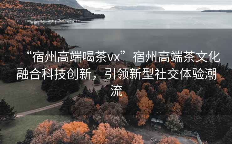 “宿州高端喝茶vx”宿州高端茶文化融合科技創(chuàng)新，引領(lǐng)新型社交體驗潮流