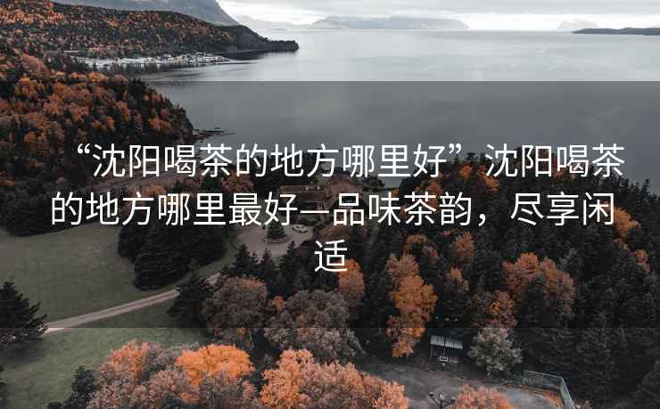 “沈陽喝茶的地方哪里好”沈陽喝茶的地方哪里最好—品味茶韻，盡享閑適