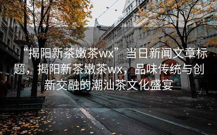 “揭陽新茶嫩茶wx”當日新聞文章標題，揭陽新茶嫩茶wx，品味傳統(tǒng)與創(chuàng)新交融的潮汕茶文化盛宴