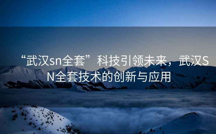 “武漢sn全套”科技引領(lǐng)未來(lái)，武漢SN全套技術(shù)的創(chuàng)新與應(yīng)用