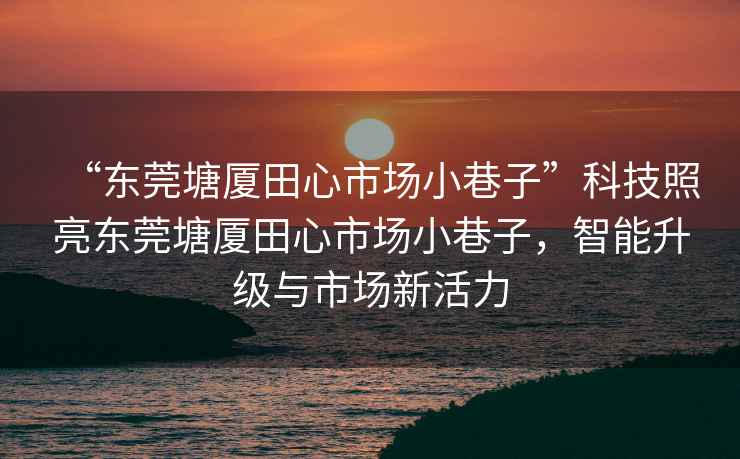 “東莞塘廈田心市場小巷子”科技照亮東莞塘廈田心市場小巷子，智能升級與市場新活力