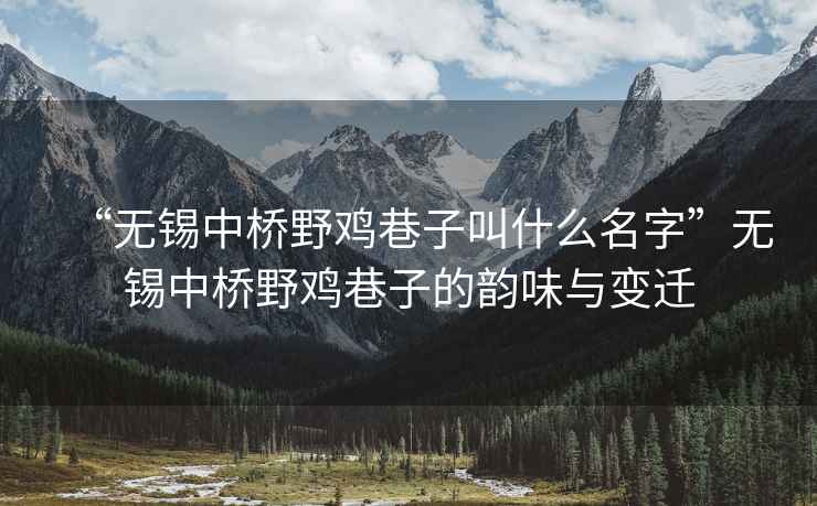 “無(wú)錫中橋野雞巷子叫什么名字”無(wú)錫中橋野雞巷子的韻味與變遷