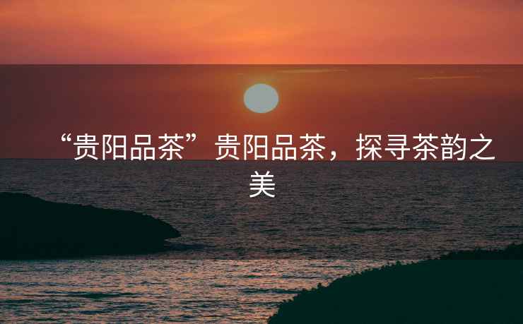 “貴陽品茶”貴陽品茶，探尋茶韻之美