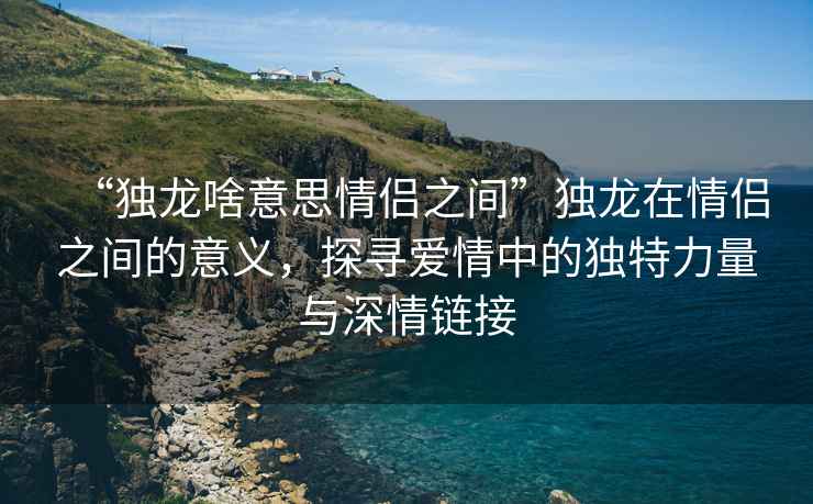 “獨龍啥意思情侶之間”獨龍在情侶之間的意義，探尋愛情中的獨特力量與深情鏈接