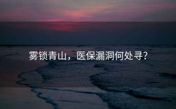 霧鎖青山，醫(yī)保漏洞何處尋？