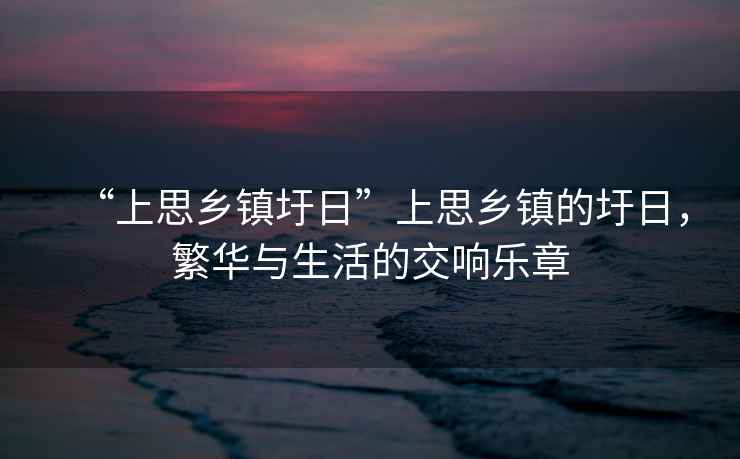 “上思鄉(xiāng)鎮(zhèn)圩日”上思鄉(xiāng)鎮(zhèn)的圩日，繁華與生活的交響樂章