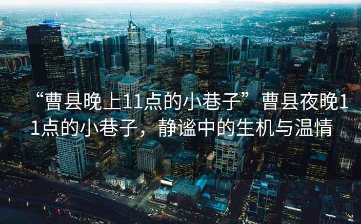 “曹縣晚上11點(diǎn)的小巷子”曹縣夜晚11點(diǎn)的小巷子，靜謐中的生機(jī)與溫情