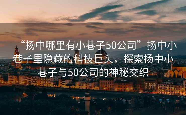 “揚(yáng)中哪里有小巷子50公司”揚(yáng)中小巷子里隱藏的科技巨頭，探索揚(yáng)中小巷子與50公司的神秘交織