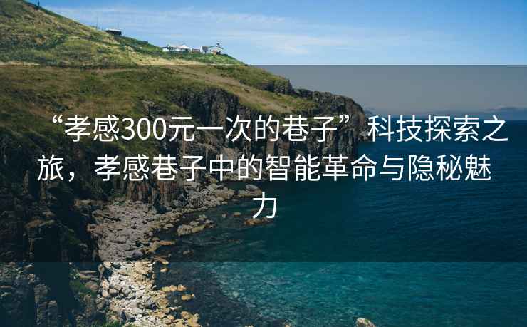 “孝感300元一次的巷子”科技探索之旅，孝感巷子中的智能革命與隱秘魅力