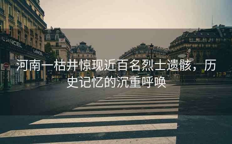 河南一枯井驚現(xiàn)近百名烈士遺骸，歷史記憶的沉重呼喚
