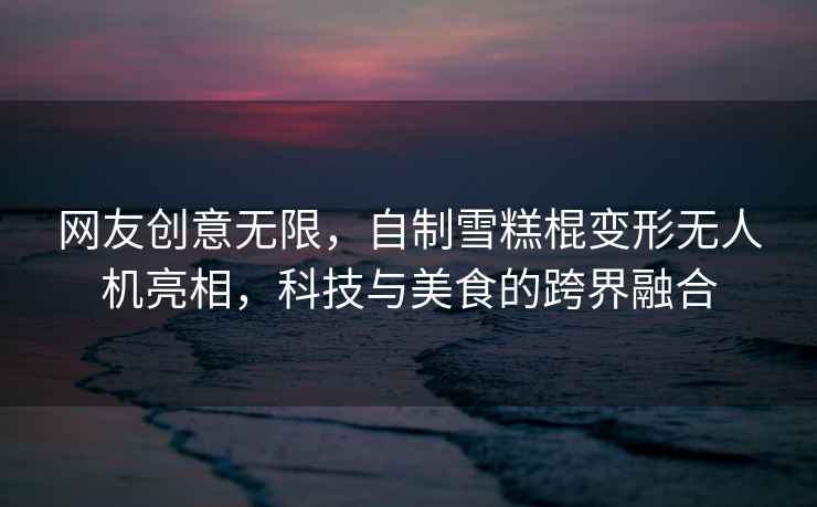 網(wǎng)友創(chuàng)意無限，自制雪糕棍變形無人機亮相，科技與美食的跨界融合