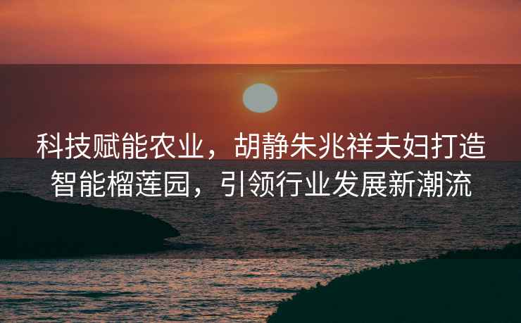 科技賦能農業(yè)，胡靜朱兆祥夫婦打造智能榴蓮園，引領行業(yè)發(fā)展新潮流