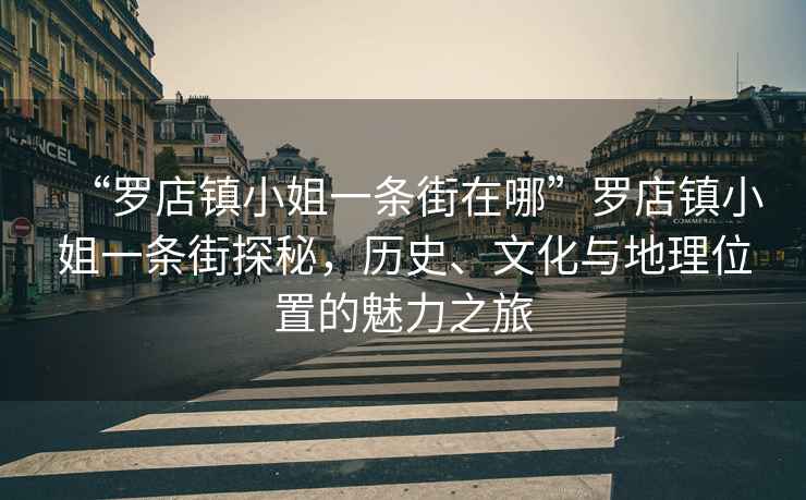 “羅店鎮(zhèn)小姐一條街在哪”羅店鎮(zhèn)小姐一條街探秘，歷史、文化與地理位置的魅力之旅