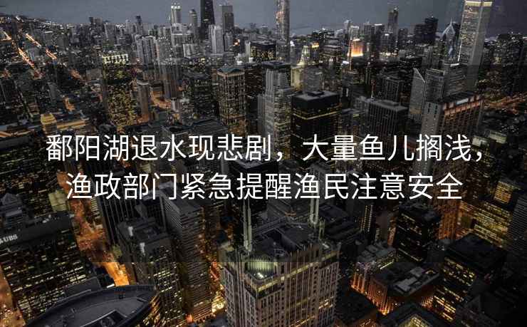 鄱陽湖退水現(xiàn)悲劇，大量魚兒擱淺，漁政部門緊急提醒漁民注意安全