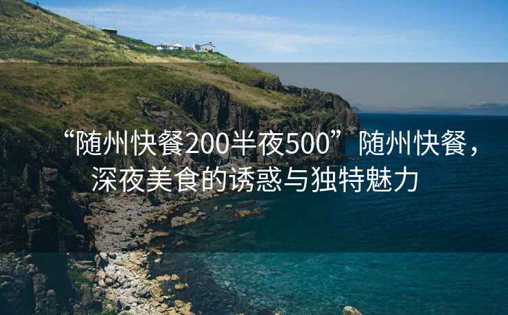 “隨州快餐200半夜500”隨州快餐，深夜美食的誘惑與獨(dú)特魅力