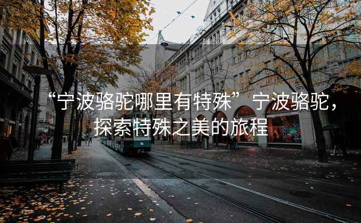 “寧波駱駝哪里有特殊”寧波駱駝，探索特殊之美的旅程