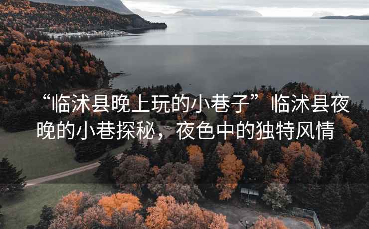 “臨沭縣晚上玩的小巷子”臨沭縣夜晚的小巷探秘，夜色中的獨(dú)特風(fēng)情