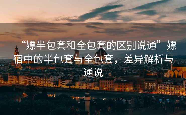 “嫖半包套和全包套的區(qū)別說(shuō)通”嫖宿中的半包套與全包套，差異解析與通說(shuō)