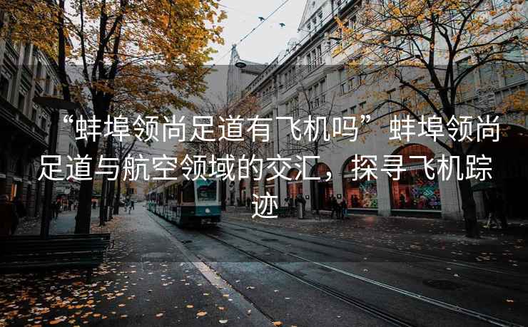 “蚌埠領(lǐng)尚足道有飛機(jī)嗎”蚌埠領(lǐng)尚足道與航空領(lǐng)域的交匯，探尋飛機(jī)蹤跡