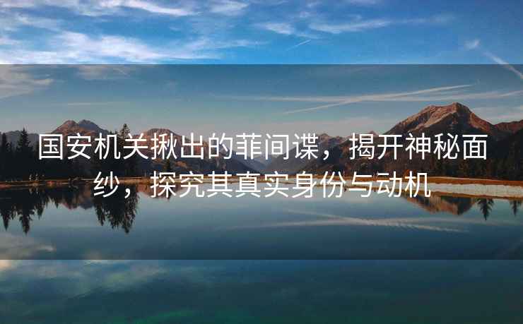 國(guó)安機(jī)關(guān)揪出的菲間諜，揭開(kāi)神秘面紗，探究其真實(shí)身份與動(dòng)機(jī)