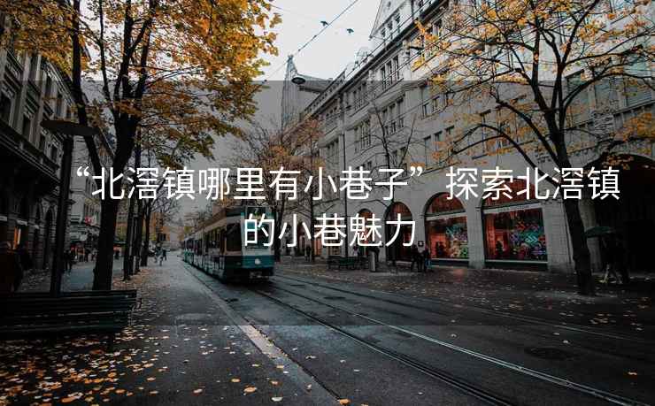 “北滘鎮(zhèn)哪里有小巷子”探索北滘鎮(zhèn)的小巷魅力