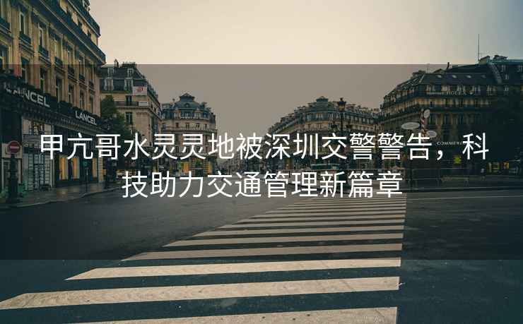 甲亢哥水靈靈地被深圳交警警告，科技助力交通管理新篇章