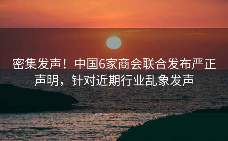 密集發(fā)聲！中國6家商會(huì)聯(lián)合發(fā)布嚴(yán)正聲明，針對近期行業(yè)亂象發(fā)聲