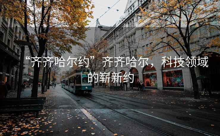 “齊齊哈爾約”齊齊哈爾，科技領(lǐng)域的嶄新約