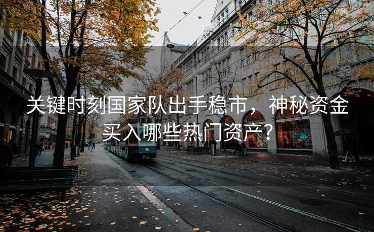 關(guān)鍵時刻國家隊出手穩(wěn)市，神秘資金買入哪些熱門資產(chǎn)？