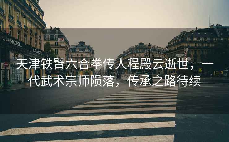 天津鐵臂六合拳傳人程殿云逝世，一代武術(shù)宗師隕落，傳承之路待續(xù)