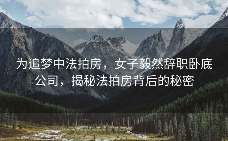 為追夢中法拍房，女子毅然辭職臥底公司，揭秘法拍房背后的秘密
