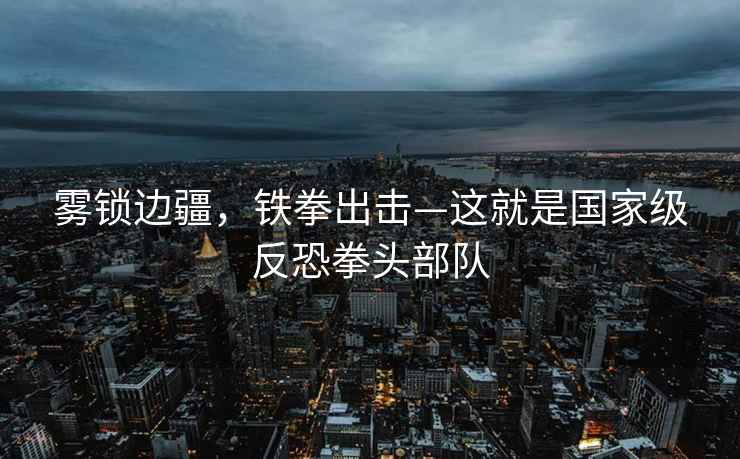 霧鎖邊疆，鐵拳出擊—這就是國家級反恐拳頭部隊