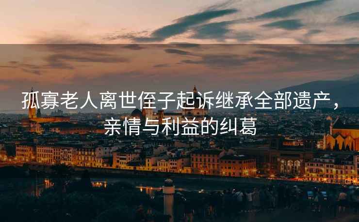 孤寡老人離世侄子起訴繼承全部遺產(chǎn)，親情與利益的糾葛
