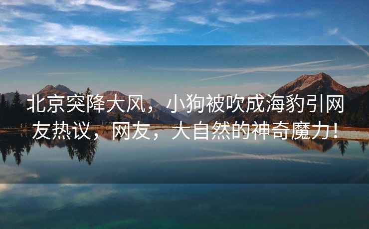 北京突降大風(fēng)，小狗被吹成海豹引網(wǎng)友熱議，網(wǎng)友，大自然的神奇魔力！
