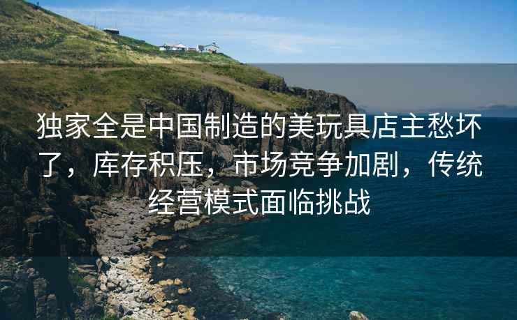 獨家全是中國制造的美玩具店主愁壞了，庫存積壓，市場競爭加劇，傳統(tǒng)經(jīng)營模式面臨挑戰(zhàn)
