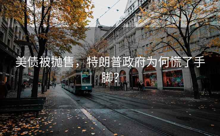 美債被拋售，特朗普政府為何慌了手腳？