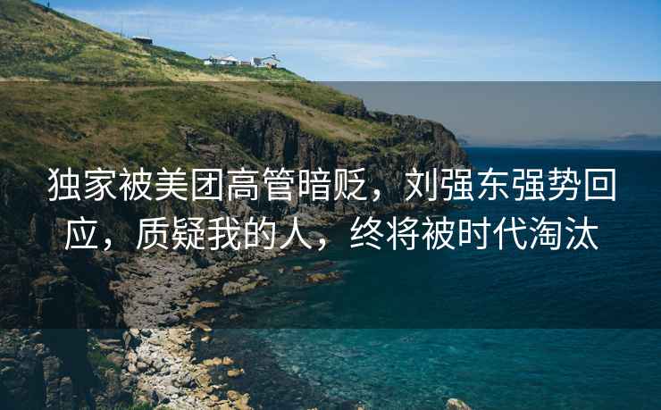 獨(dú)家被美團(tuán)高管暗貶，劉強(qiáng)東強(qiáng)勢(shì)回應(yīng)，質(zhì)疑我的人，終將被時(shí)代淘汰