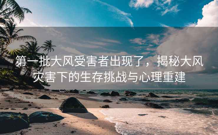 第一批大風(fēng)受害者出現(xiàn)了，揭秘大風(fēng)災(zāi)害下的生存挑戰(zhàn)與心理重建