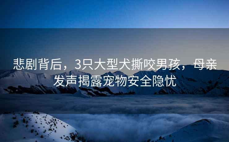 悲劇背后，3只大型犬撕咬男孩，母親發(fā)聲揭露寵物安全隱憂