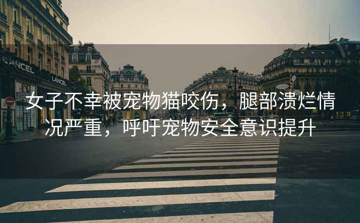 女子不幸被寵物貓咬傷，腿部潰爛情況嚴(yán)重，呼吁寵物安全意識(shí)提升