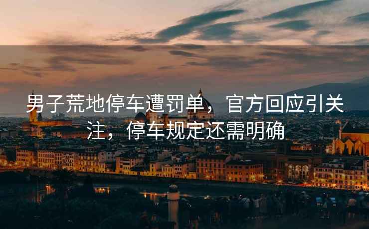男子荒地停車遭罰單，官方回應(yīng)引關(guān)注，停車規(guī)定還需明確