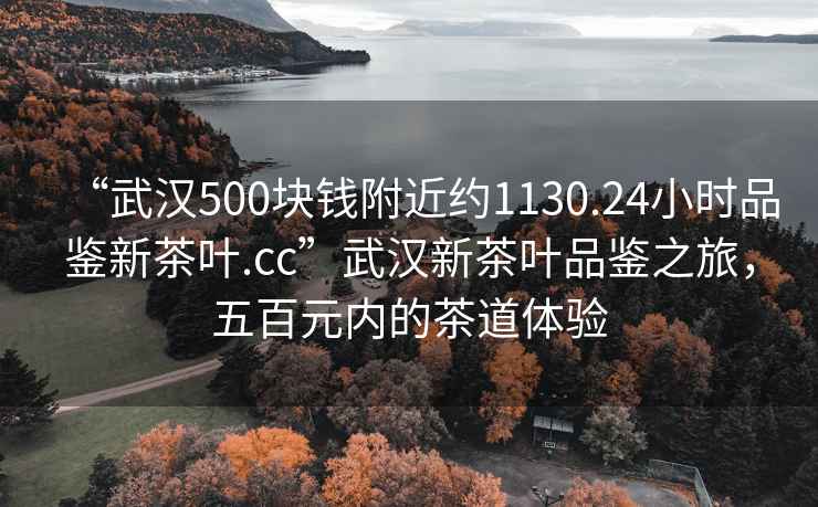 “武漢500塊錢附近約1130.24小時(shí)品鑒新茶葉.cc”武漢新茶葉品鑒之旅，五百元內(nèi)的茶道體驗(yàn)