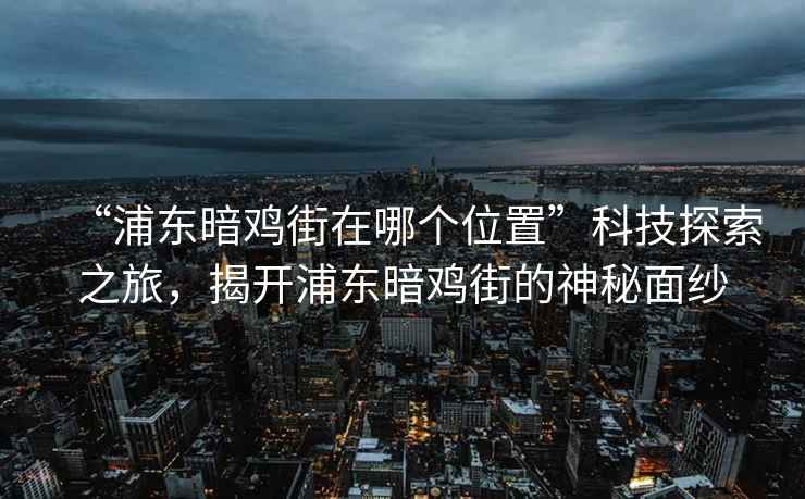 “浦東暗雞街在哪個位置”科技探索之旅，揭開浦東暗雞街的神秘面紗