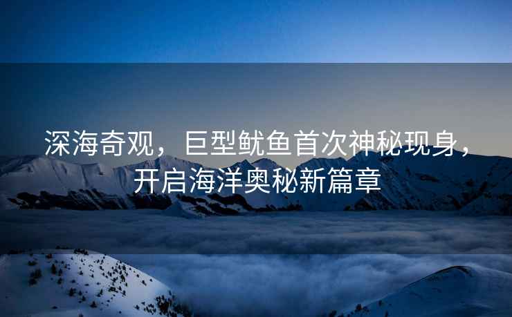 深海奇觀，巨型魷魚首次神秘現(xiàn)身，開啟海洋奧秘新篇章