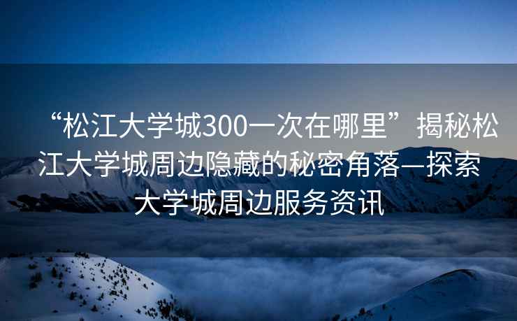 “松江大學(xué)城300一次在哪里”揭秘松江大學(xué)城周邊隱藏的秘密角落—探索大學(xué)城周邊服務(wù)資訊