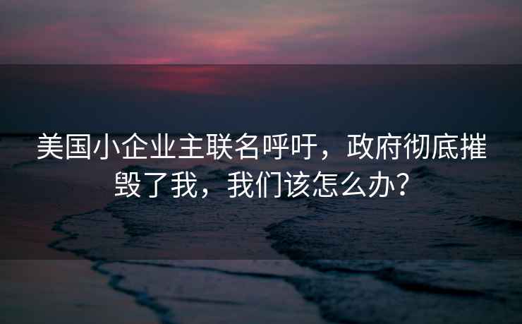 美國小企業(yè)主聯(lián)名呼吁，政府徹底摧毀了我，我們該怎么辦？