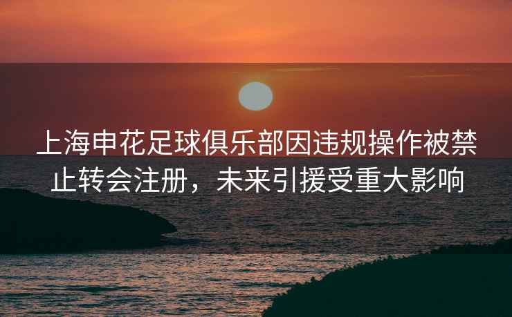 上海申花足球俱樂部因違規(guī)操作被禁止轉會注冊，未來引援受重大影響