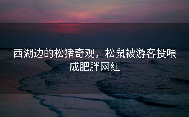 西湖邊的松豬奇觀，松鼠被游客投喂成肥胖網(wǎng)紅