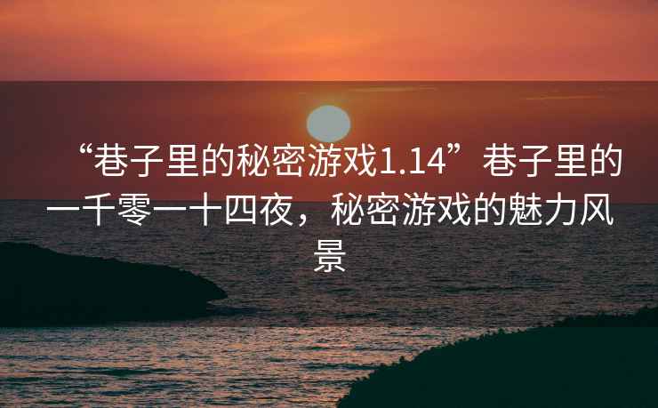 “巷子里的秘密游戲1.14”巷子里的一千零一十四夜，秘密游戲的魅力風(fēng)景